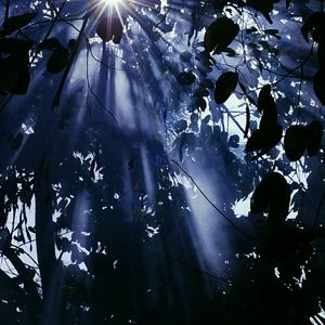 Meet your Posher, Hbe